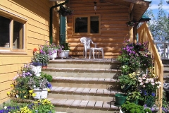 front-steps