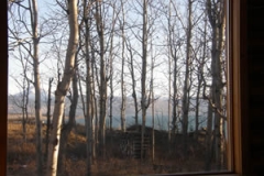 4viewwindow